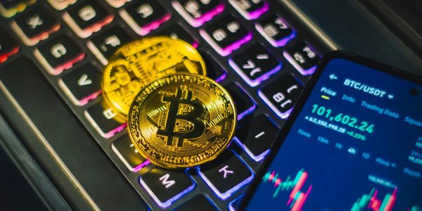 Trust Bridge Recovery